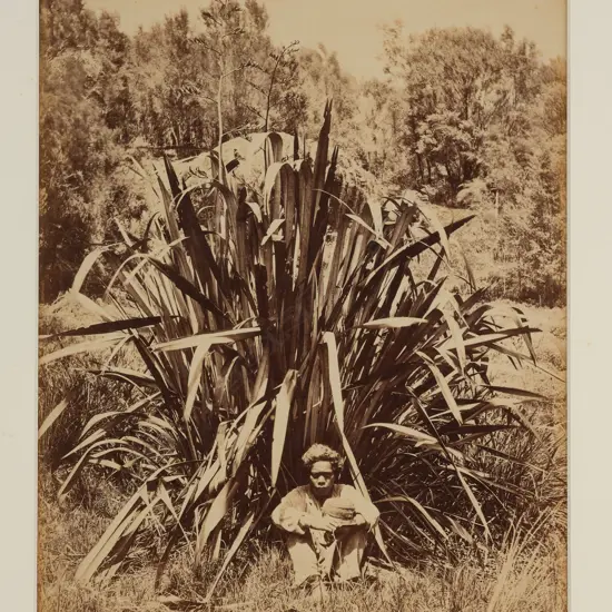 Daniel Louis Mundy (1827-81) - Study of a flax bush with native boy on the Wairere River,